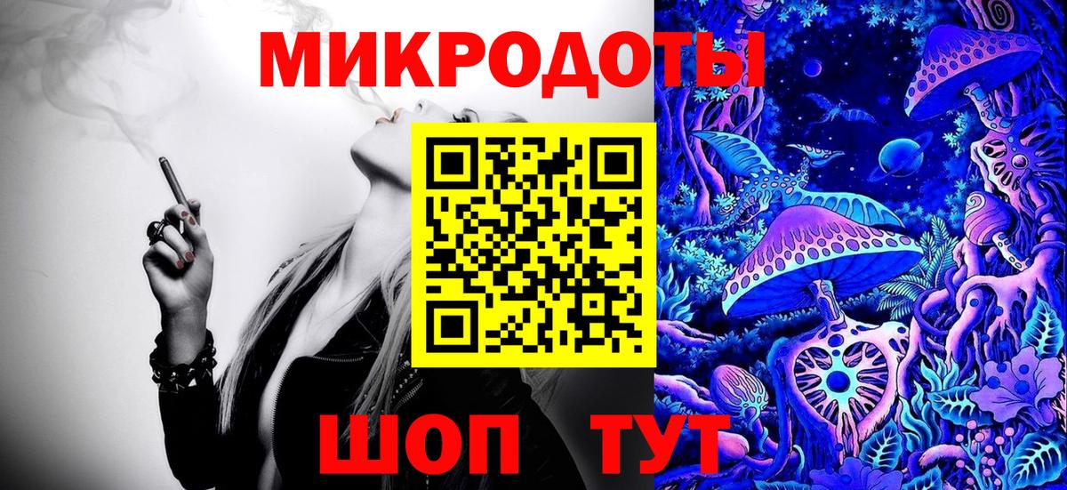 Псилоцибиновые грибы Psilocybe Усинск